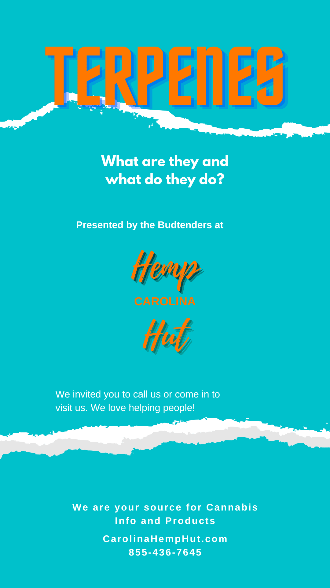 What are Terpenes (in Cannabis)?