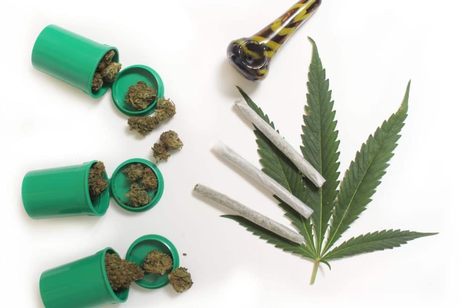 Legal Marijuana Buds and CBD Hemp Flowers With Green Leaf