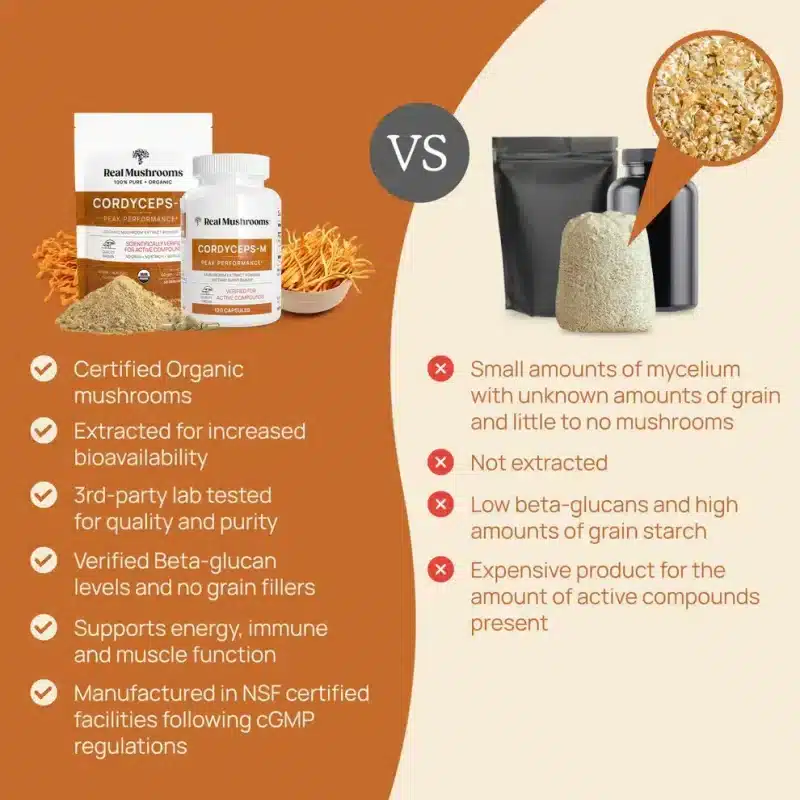 functional mushroom health cordyceps