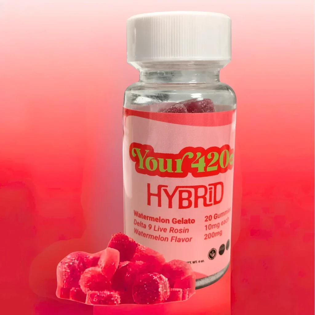 Hybrid Delta 9 Live Rosin watermelon gummies in a red Your420HQ bottle, shown with bright red chewy pieces to highlight flavor and potency.