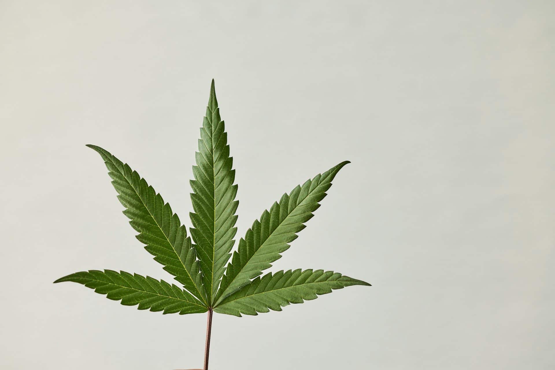 natalia-blauth-BefE6SkiCcg-unsplash